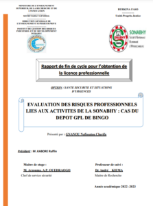 EVALUATION DES RISQUES PROFESSIONNELS LIES AUX ACTIVITES DE LA SONABHY : CAS DU DEPOT GPL DE BINGO