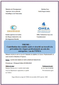 Contribution des comités santé et sécurité au travail à la prévention des risques professionnels au sein des entreprises : cas de l’ONEA